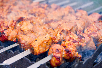 Pieces of delicious barbecued meat on skewer cooking on hot coals. Roast pork meat cooked on grill. Barbecue party on the nature. Close up view.