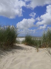 sand dunes on the beach