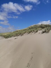 sand dunes in the desert