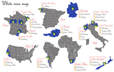 White wine map. Wine production map showing grape varieties. Regions of grape growing for wine production.