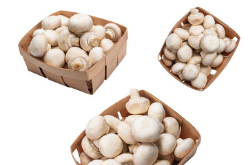 Champignon mushroom isolated on white background.