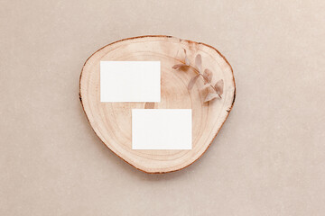 Top view of corporate cards mockup and natural objects. Branding presentation
