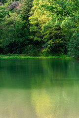 緑の湖