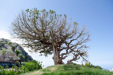 Mount Babadag and the new funicular , Oludeniz beach, Turkey