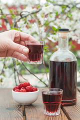 A bottle of cherry liqueur and a woman's hand with a glass on the background of a flowering tree.