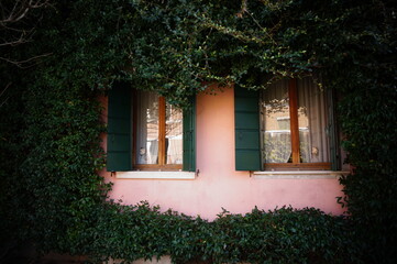 Fototapeta na wymiar green and pink window, Venice