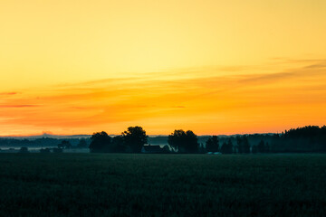 A minimalist landscape of a misty sunrise in summer with a far horizon. Summertime scenery of Northern Europe.