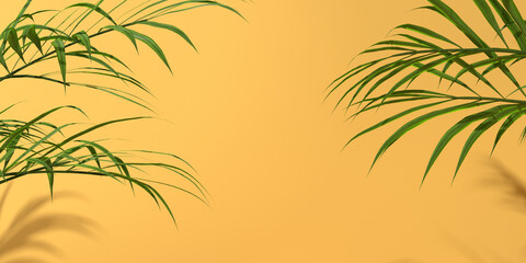 Fototapeta na wymiar Tropical palm leaves with shadow