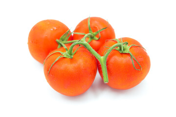 Fresh ripe organic tomatoes on a branch isolated on white background.