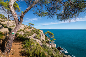 Paisaje de montaña y mar mediterráneo con pinos, mar, rocas y senderos.