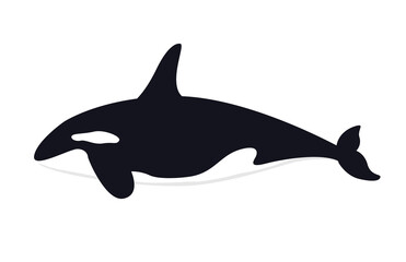 Whale killer. Orca. Vector illustration isolated on white background.