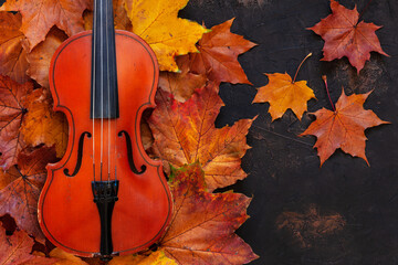 Old violin on yellow autumn maple leaves background. Top view, close-up.