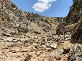 rocky mountain landscape