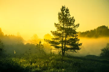 Deurstickers A beautiful landscape of a misty morning during summer. Summertime scenery of Northern Europe. © dachux21