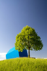 Obraz premium Tree_on_a_hill_1