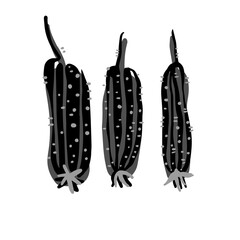 Isolated vector black and white design set of decorative abstract cucumbers