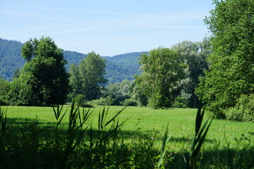 Obraz premium landscape at Lake Constance