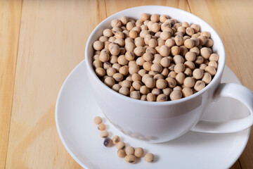 Soybean or soya bean in a coffee mug