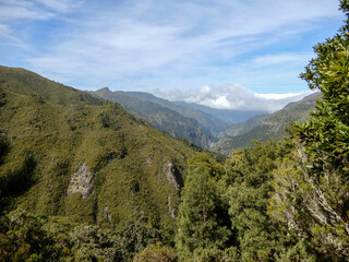 Fototapeta na wymiar Madeira mountains