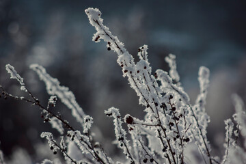 cold city