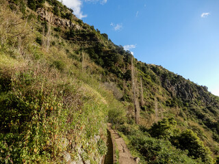 Fototapeta na wymiar levada walks on Madeira