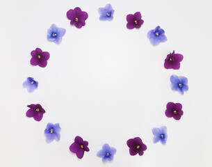 Fototapeta na wymiar Floral frame from blue pink purple violets
