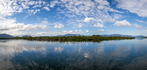 Obraz premium Blue giant panorama of the soothing landscape of the rainforest along the horizon.