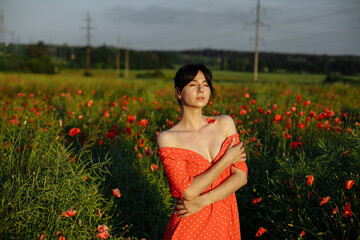 Girl in a red dress in a field of red poppies