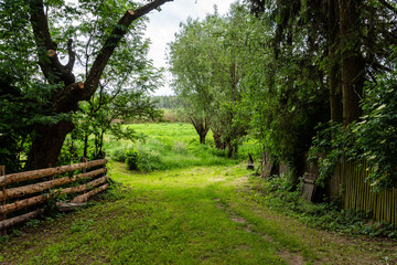 Dolina Narwi, Podlasie, Polska © podlaski49