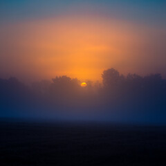 A sun disc shining through the mist during the summer sunrise. Summertime scenery of Northern Europe.