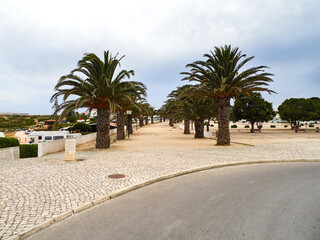 Fototapeta na wymiar Palmtrees in Sagres, Portugal