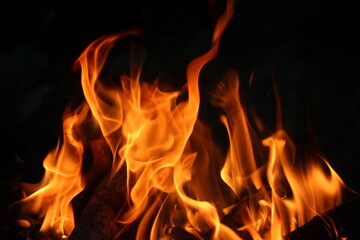 Beautiful flame of a big bonfire.