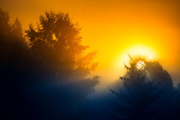 A beautiful scenery with sun rays shining through trees during a misty sunrise. Summertime scenery of Northern Europe.
