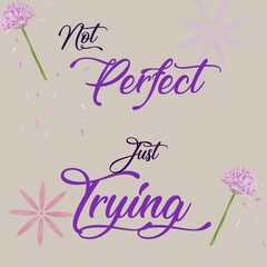not perfect just trying