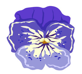 Viola purple lylic flower. Vector illustration