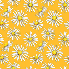 Chamomile seamless pattern
