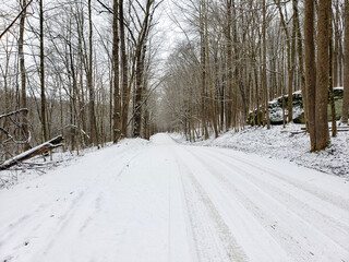 Obraz premium Snow coverd country road