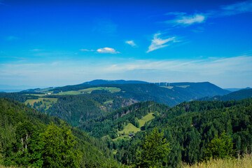 Fototapeta premium landscape with sky
