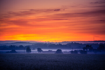 A misty morning landscape of a field with trees in distance. Summertime scenery of Northern Europe.