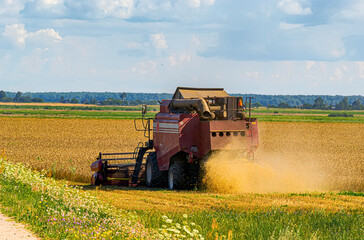 Fototapeta premium Harvesting in the Republic of Belarus in August 2019.