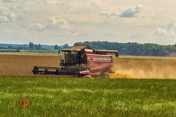 Harvesting in the Republic of Belarus in August 2019.