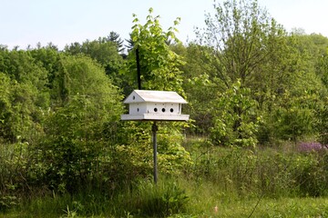 The white birdhouse in the countryside field.