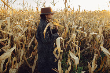 Beautiful stylish woman in brown hat and vintage coat walking in sunny autumn maize field....