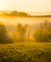 A misty sunrise landscape over the small river valley. Summertime scenery of Northern Europe.
