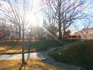 Obraz premium warm peaceful day in the autumn park