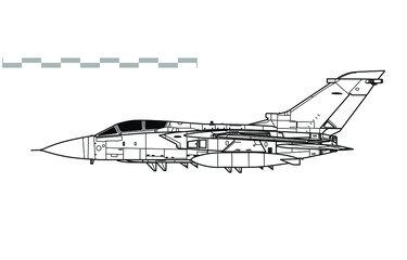 Panavia Tornado F3, Tornado ADV. Vector drawing of interceptor aircraft. Side view. Image for illustration and infographics.