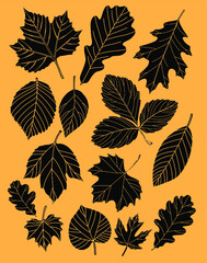 Autumn leaves painted in black on a color background. Vector