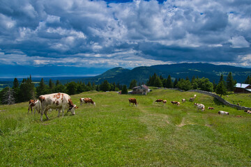 Dent de Vaulion im Schweizer Jura