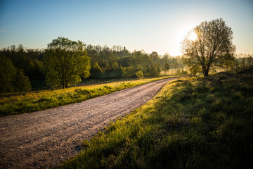 Fototapeta premium A summer morning landscape with a gravel road in the rural area. Countryside dirt road. Summertime scenery of Northern Europe.