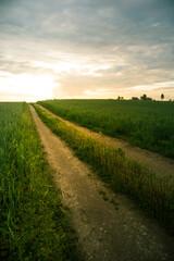 A summer morning landscape with a gravel road in the rural area. Countryside dirt road. Summertime scenery of Northern Europe.